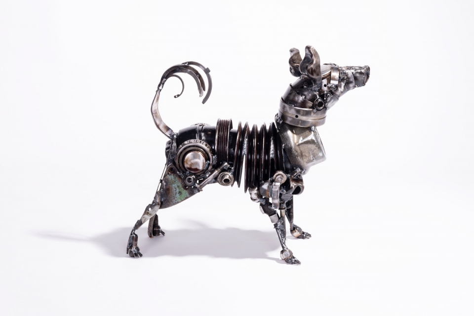 A very alert little terrier